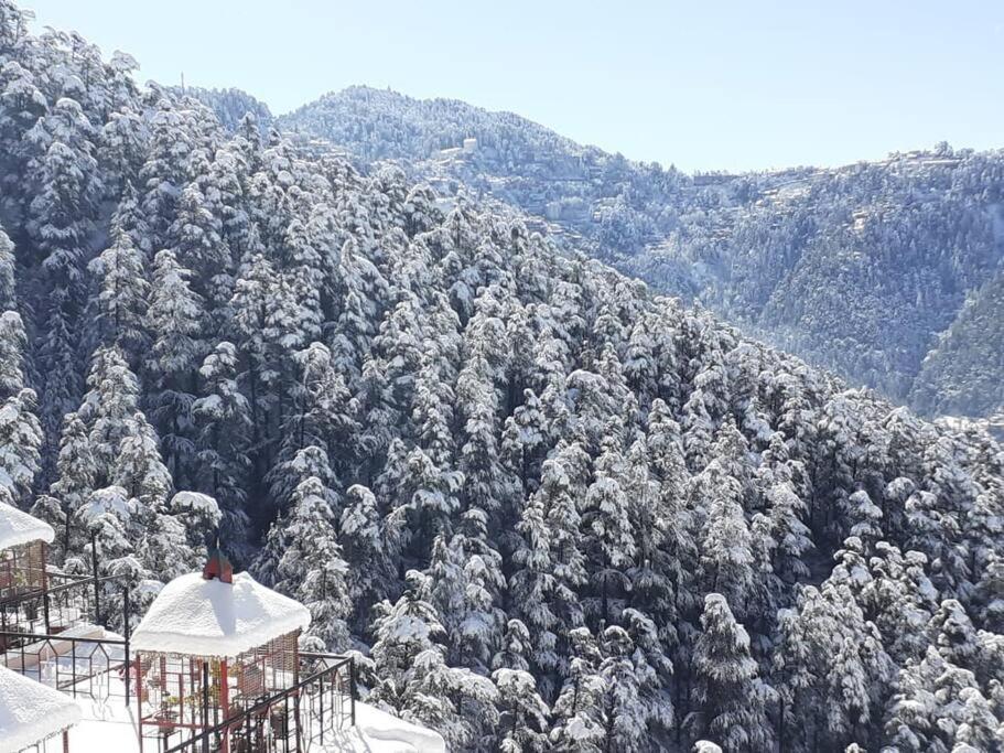 Residence Inn Homestay Shimla Exterior photo